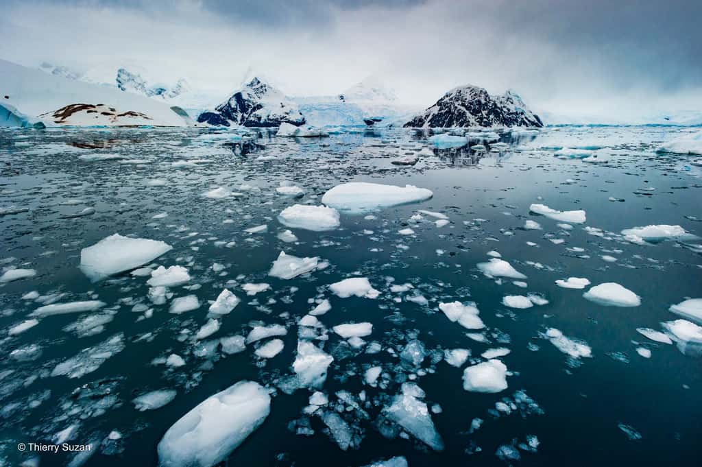 Chaque année, la glace et les icebergs qui flottent dans le chenal imposent de véritables défis à la navigation, rendant cette route aussi dangereuse que fascinante. Chenal Lemaire © Thierry Suzan – Tous droits réservés